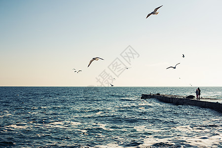 黑海的图片全景图海景波浪浪花海鸥蓝色科学自然环境海滩天空图片