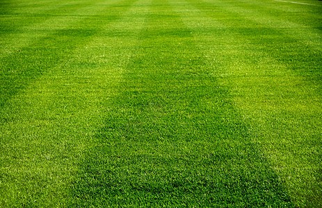 足球场草地运动墙纸足球土地地面草皮游戏植物边界图片