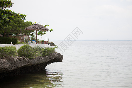 安静和平静的海鸟旅行阳光沼泽海岸情调异国太阳热带海滩海景图片