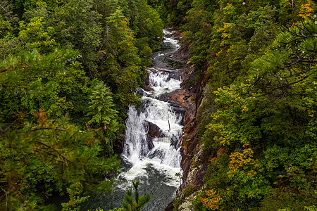 塔卢拉峡谷LEau dOr Falls风景苔藓石头绿色流动森林瀑布溪流山脉远足图片