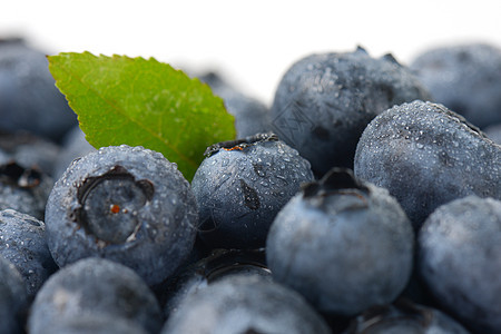新鲜的成熟蓝莓宏观团体浆果食物背景图片