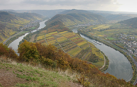 Masselle河环流 德国布雷姆 德国 欧洲植物流浪景点目的地远足旅游胜地风景山脉葡萄园图片