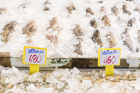 市场上的新鲜盐水鱼钓鱼海鲜美食海洋店铺食物图片