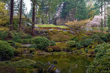 湖边的日本波特兰花园图片
