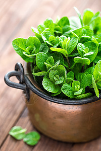 木木背景的新鲜薄荷药品香料植物食物草本植物树叶草本香气绿色乡村图片