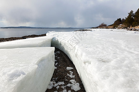 北海海岸的冰层积聚图片