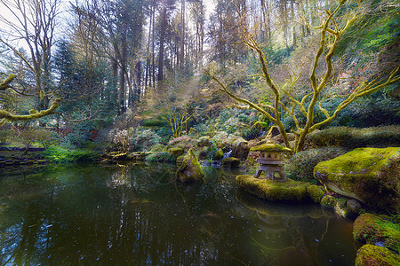 波特兰日本花园下池塘图片