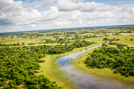 奥卡万戈三角洲的空中景象野生动物国家平原生态旅游静脉生态动物宋体水坑天线图片
