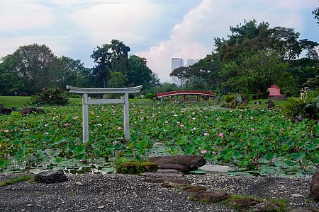 在新加坡的日本花园里 露水池图片