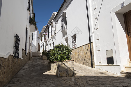 典型的白色安达卢西亚村街图片
