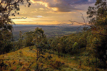 Kondalilla国家议会的日落 澳大利亚观点Landca橙子太阳红色公园阳光蓝色森林天空农村旅行图片