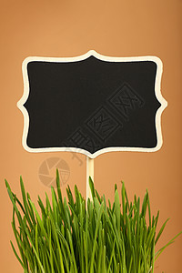春绿草和棕色的黑色标志背景图片