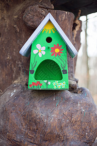 鸟鸟之家树木树干灌木丛食物衬套灌木鸟类木头图片
