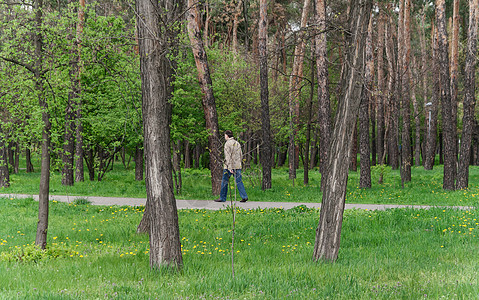 春天在城市公园里行走的男子 有树木 绿草和br图片