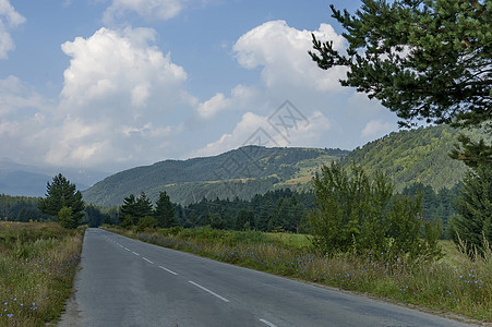 里拉山 森林 山谷 格莱特和道路等密林茂密而成的巨型山顶草地衬套松树阳光旅行空地沥青树木顶峰针叶图片