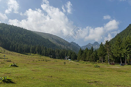 大宗山顶 森林 山谷和格莱特 马约维察 里拉山旅游针叶远足松树顶峰杂草草地蓝色天空空地图片