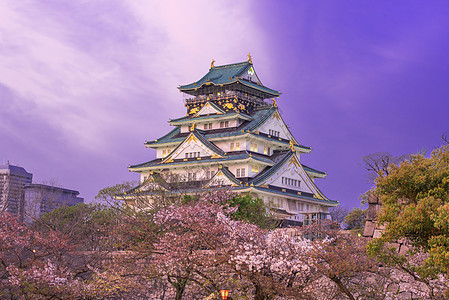 大阪城堡 樱花之花季节武士遗产建筑学文化天空观光地标旅行庆典图片