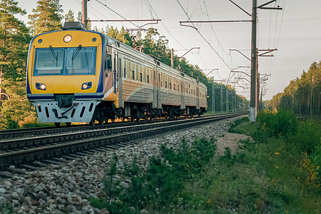 客轮电动列车旅行运输速度运动铁路绿色驱动器黄色树木森林图片