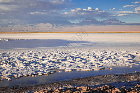 智利的景观绿洲旅行蓝色晴天沙漠天空太阳风景酒瓶荒野图片