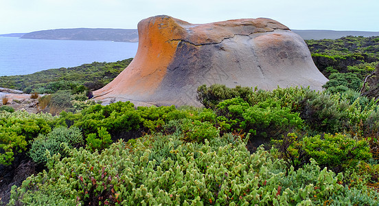 澳大利亚Kangaroo岛的岩石和树木图片