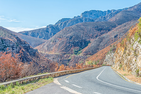 Tradouw山口被烧的山边风景阳光沥青柏油晴天图片