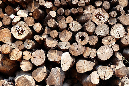 木柴背景库存燃料松树柴堆林业环境乡村树干活力材料图片