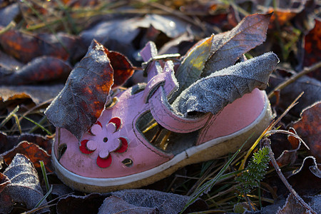 秋假地上的女婴鞋宏观女性赃物树叶女孩孩子婚礼蓝色青年童年图片