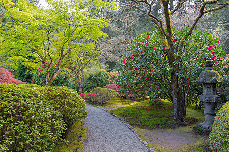 日本花园的路径图片
