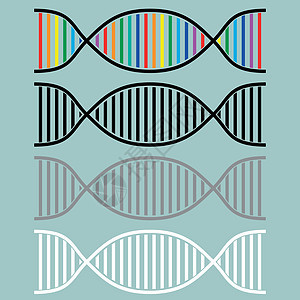 Dna 或脱氧核糖核酸图标图片