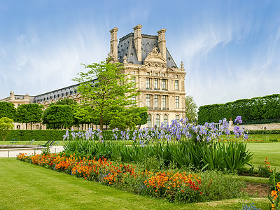 巴黎图利花园的鲜花床图片