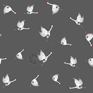 白鹅无缝模式天空水禽生产生活羽毛盘旋动物群生物鹅颈天堂图片