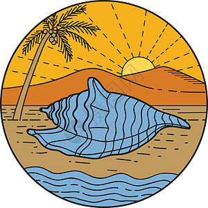 海滩山太阳椰子树单线上壳壳插图动物圆圈海洋海螺艺术品线宽腹足类尖塔重量图片