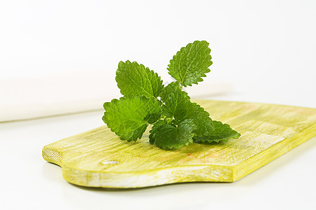 柠檬酸叶叶烹饪绿色药草草本植物食物薄荷小枝香蜂草树叶香脂图片