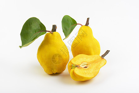 成熟的黄梨叶子水果绿色种子黄色食物图片