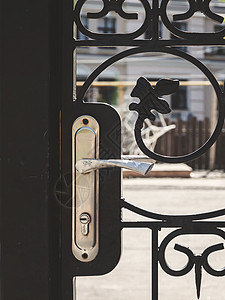带门把手的铁锻造雕刻街门 特写你栅栏建筑学房子文化安全风格历史出口古董装饰品图片