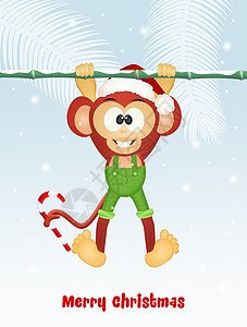 圣诞节的贺礼猴子插图灵长类哺乳动物手掌森林竹子动物丛林庆典背景图片
