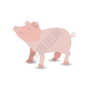 猪是粉红色的 设计说明图片