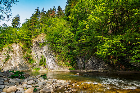 山岳的河流附近有树木天空蓝色森林植物爬坡晴天石头镜子激流溪流图片