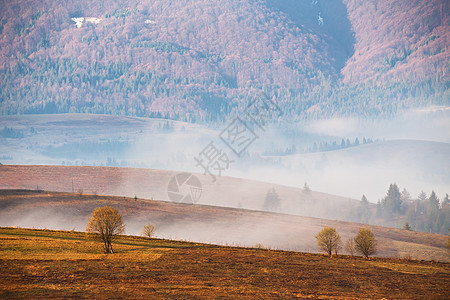 山谷的晨雾 迷雾山图片