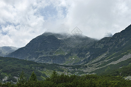 山上生长过度 森林和喜悦的花岗岩向里拉山的马利奥维察峰峰衬套顶峰远足空地阳光照射植物木头杂草爬坡阳光图片