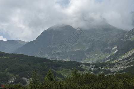 山上生长过度 森林和喜悦的花岗岩向里拉山的马利奥维察峰峰针叶小屋阳光照射顶峰爬坡杂草空地远足木头松树图片