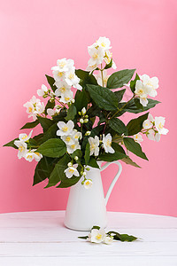 花瓶里新鲜的茉莉花香气庆典芳香蓝色香味植物群桌子疗法植物花园图片