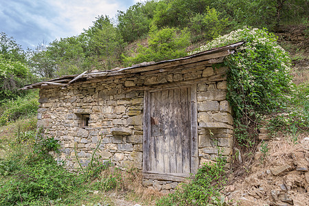 遗弃房屋乡愁小屋历史性历史农村木头植物窝棚建筑房子图片