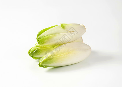比利时新鲜蔬菜菊苣食物白色背景图片