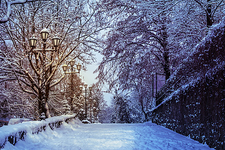 晚上在雪中放灯笼图片