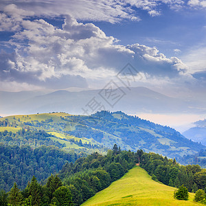 陡峭的山坡上的隐性森林全景旅行云杉木头蓝色松树树木薄雾荒野草地图片