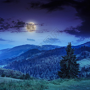 天空夜景素材山中深夜的寒雾草地环境天气旅行薄雾天空戏剧性绿色植物山脉背景