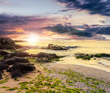 日落时沙沙滩的海浪岩石石头蓝色天空太阳风暴海岸海洋闲暇阳光图片