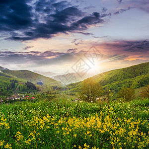 日落时山上山坡草地上的花朵图片