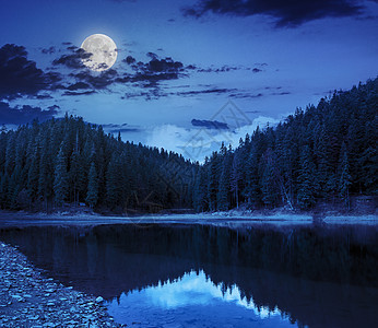 深夜在山中的松林附近 有清水的湖泊;图片